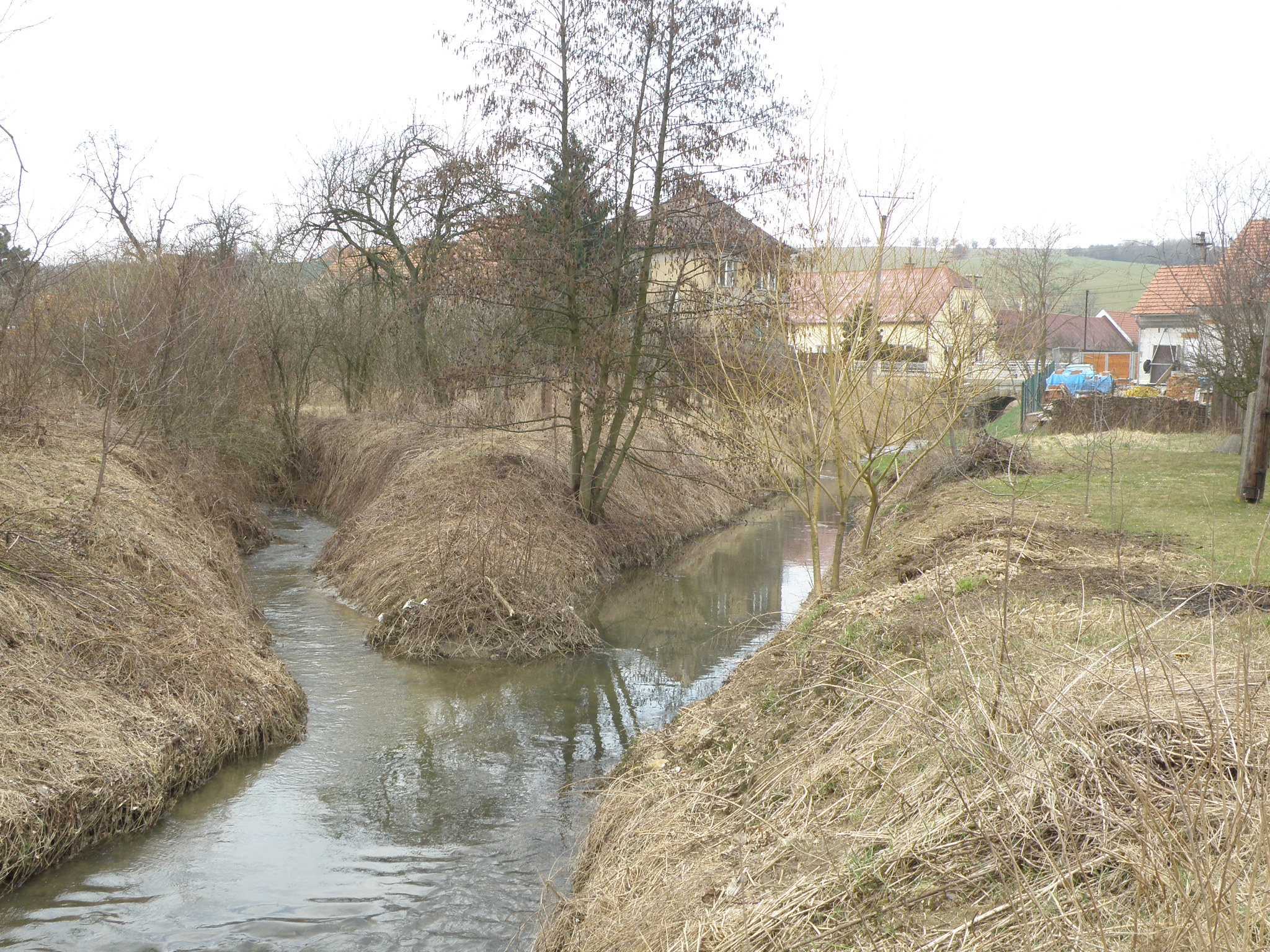 Soutok Dlouhé řeky s Medlovickým potokem v Boršicích